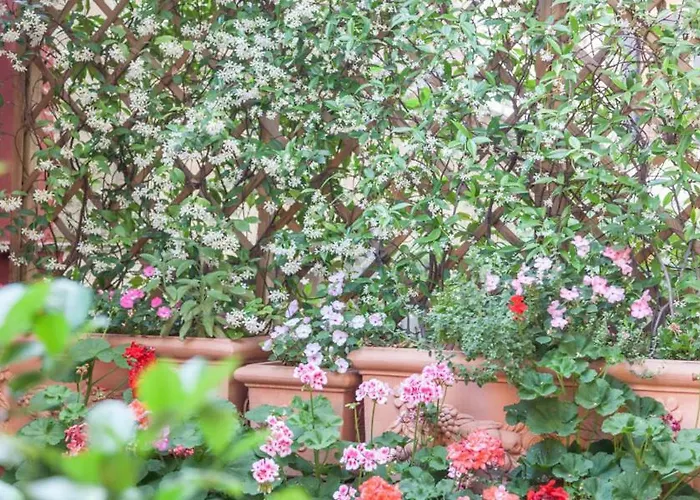 Monti Garden Affittacamere Roma