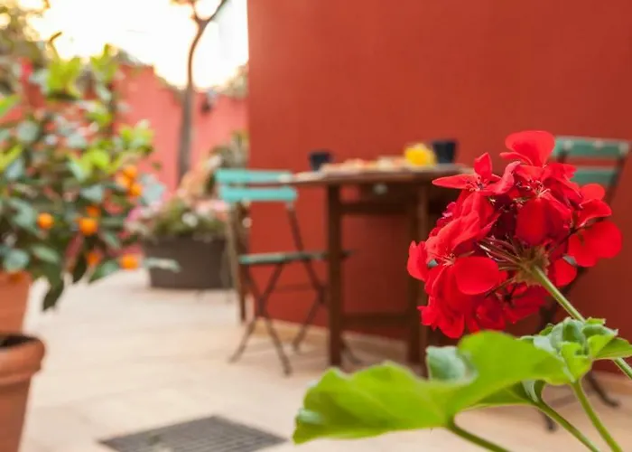 Monti Garden Affittacamere Roma
